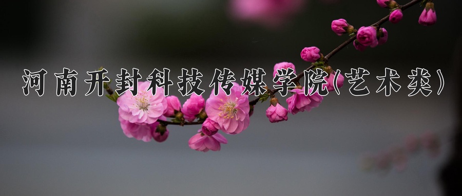 河南开封科技传媒学院(艺术类)