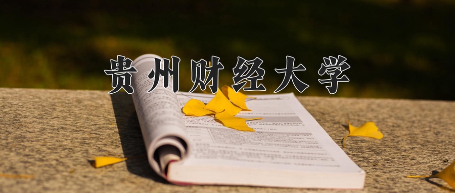 贵州财经大学近三年录取分数线及位次:新疆2021-2023最低分