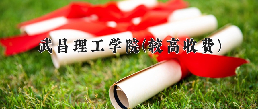 武昌理工学院(较高收费)