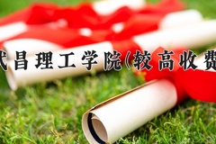 2024武昌理工学院(较高收费)录取分数线，河南最低439分
