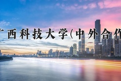 2024广西科技大学(中外合作)录取分数线，河南最低472分