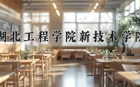 2024湖北工程学院新技术学院录取分数线，河南最低456分