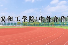 2024安阳工学院(中外合作)录取分数线，河南最低426分