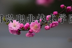 绍兴职业技术学院近三年录取分数线及位次：新疆2021-2023最低分