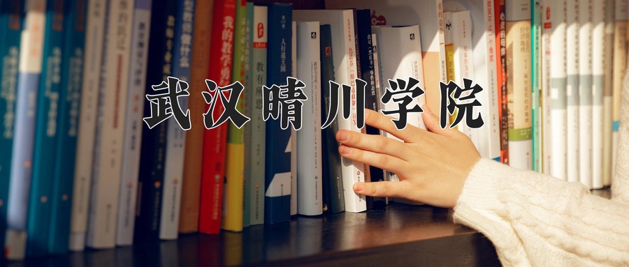 武汉晴川学院