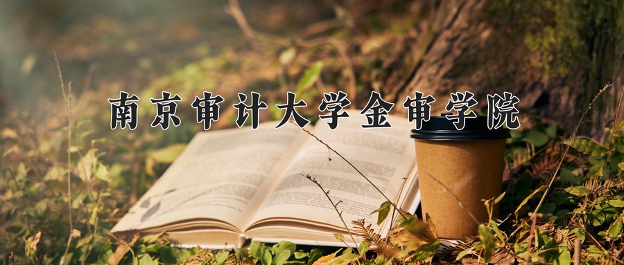 南京审计大学金审学院