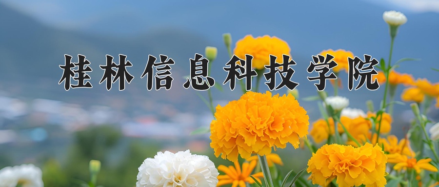 桂林信息科技学院