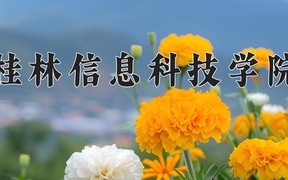 2024桂林信息科技学院录取分数线，河南最低409分