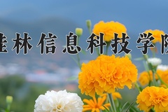 2024桂林信息科技学院录取分数线，河南最低409分