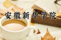 2024安徽新华学院录取分数线，河南最低414分