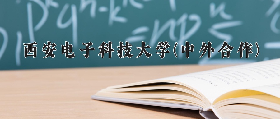 西安电子科技大学(中外合作)