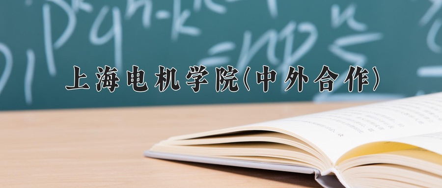 上海电机学院(中外合作)