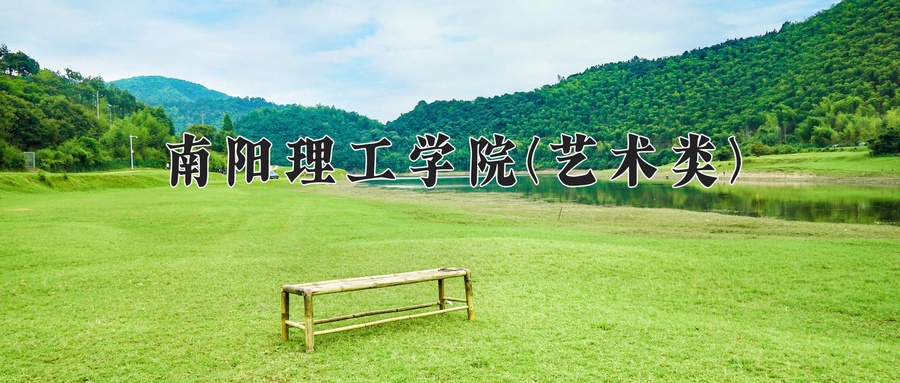 南阳理工学院(艺术类)