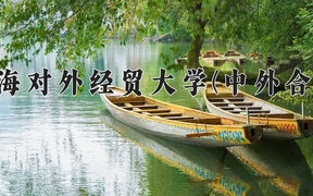 2024上海对外经贸大学(中外合作)录取分数线，河南最低555分