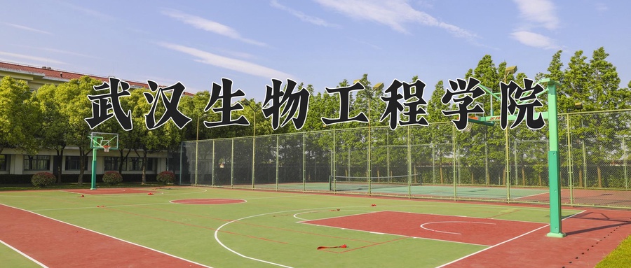 武汉生物工程学院近三年录取分数线及位次：新疆2021-2023最低分