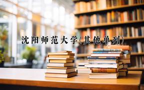 2024沈阳师范大学(其他单列)录取分数线，河南最低507分