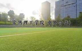 2024常熟理工学院(中外合作)录取分数线，河南最低503分