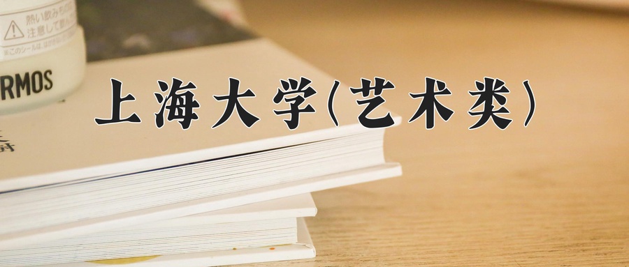 上海大学(艺术类)