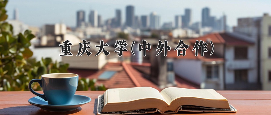 重庆大学(中外合作)