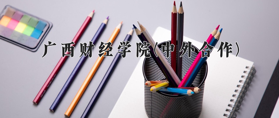 广西财经学院(中外合作)