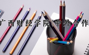 2024广西财经学院(中外合作)录取分数线，河南最低445分