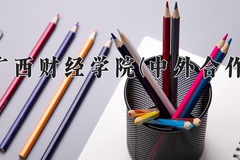 2024广西财经学院(中外合作)录取分数线，河南最低445分