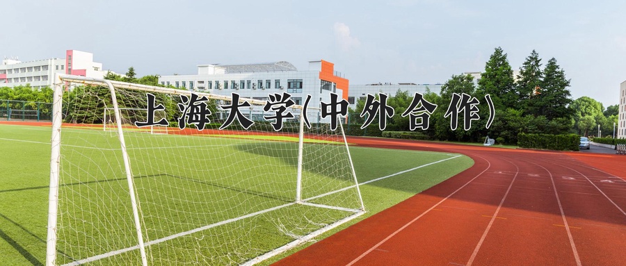 上海大学(中外合作)