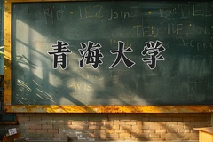 2025年青海大学学科排名（全国第四轮评估结果)