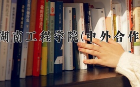 2024湖南工程学院(中外合作)录取分数线，云南最低484分