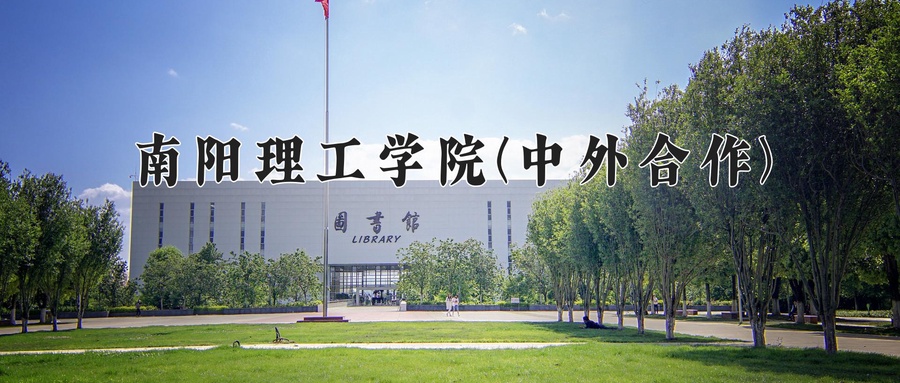 南阳理工学院(中外合作)