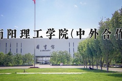 2024南阳理工学院(中外合作)录取分数线，重庆录取最低分481