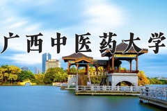 2024广西中医药大学录取分数线，重庆录取最低分538