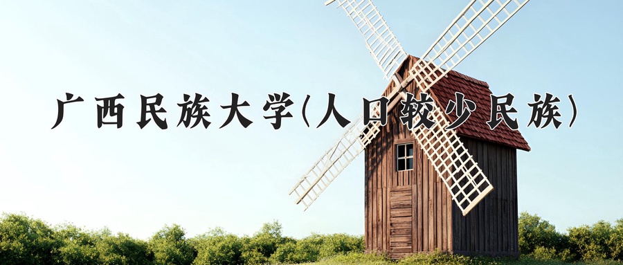 广西民族大学(人口较少民族)
