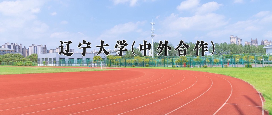 辽宁大学(中外合作)