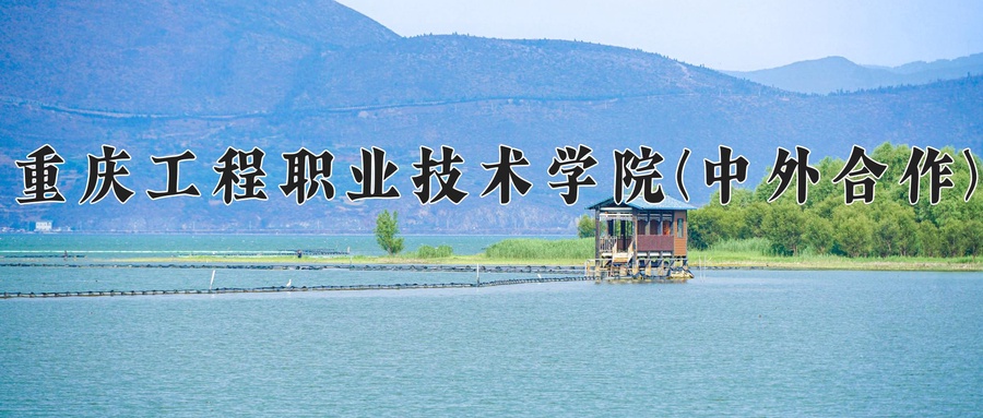重庆工程职业技术学院(中外合作)