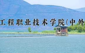 2024重庆工程职业技术学院(中外合作)录取分数线，重庆录取最低分407