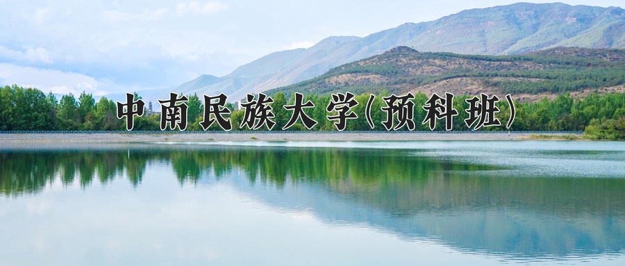 中南民族大学(预科班)