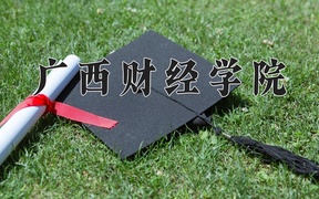 2024广西财经学院录取分数线，云南最低482分