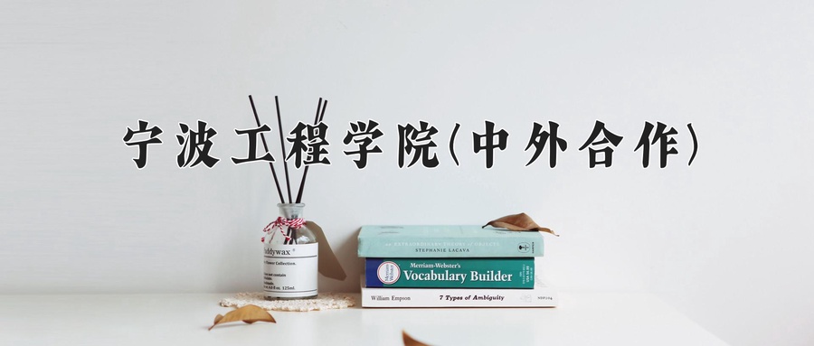 宁波工程学院(中外合作)