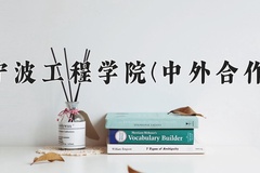 2024宁波工程学院(中外合作)录取分数线，重庆录取最低分498