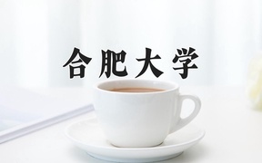 2024合肥大学录取分数线，重庆录取最低分500