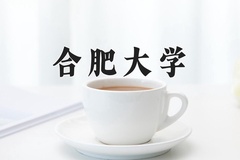 2024合肥大学录取分数线，重庆录取最低分500