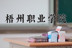 2024梧州职业学院录取分数线，云南最低240分