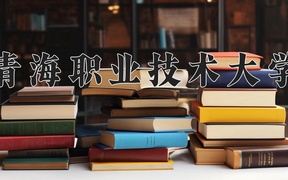2024青海职业技术大学录取分数线，云南最低333分