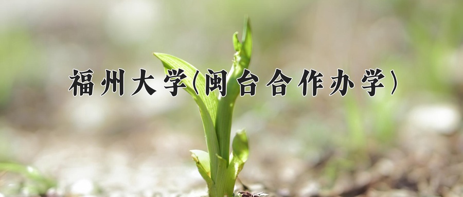 福州大学(闽台合作办学)