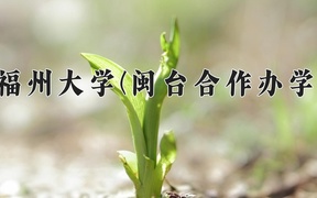 2024福州大学(闽台合作办学)录取分数线，云南最低571分