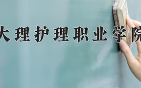 2024大理护理职业学院录取分数线，重庆录取最低分363