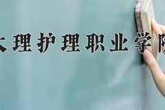2024大理护理职业学院录取分数线，重庆录取最低分363