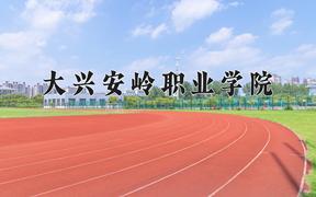 2024大兴安岭职业学院录取分数线，重庆录取最低分303