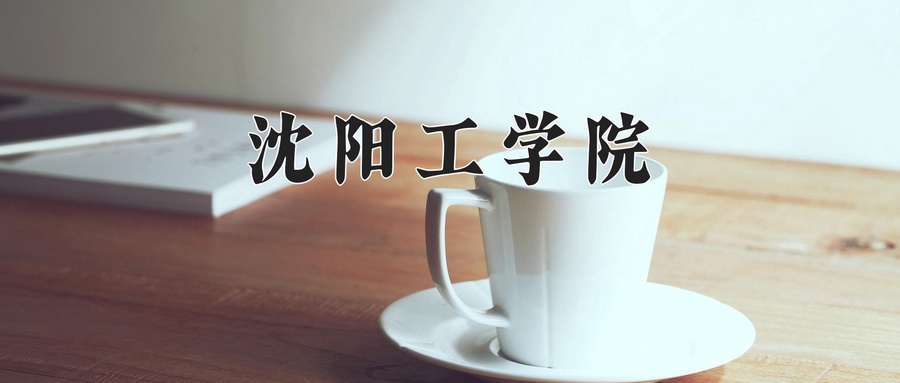2024沈阳工学院录取分数线，重庆录取最低分427-第1张图片-索考网